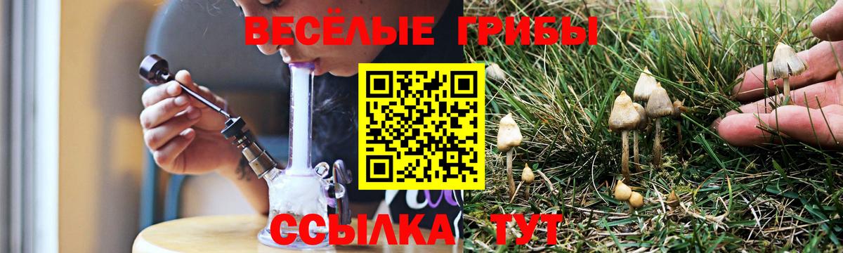 Псилоцибиновые грибы мухоморы  что такое наркотик  Кувандык  Псилоцибиновые грибы ЛСД  Вход с VPN 